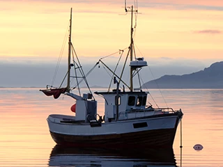 Shallow Water Trawlers